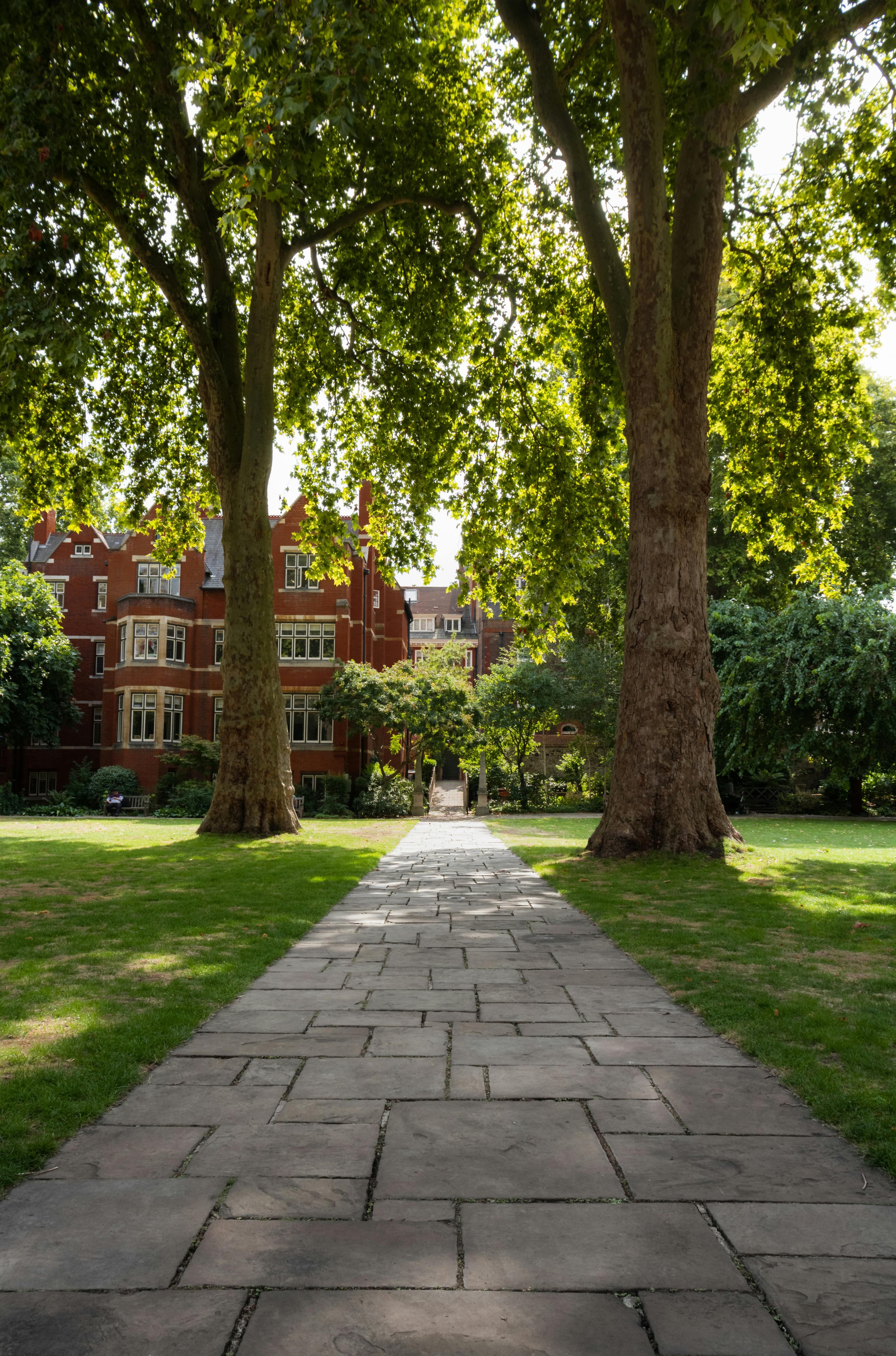 Architect an exacting admissions strategy blur overlay